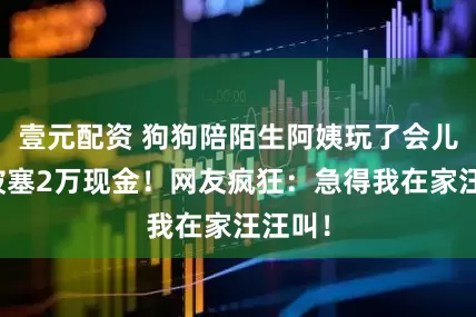 壹元配资 狗狗陪陌生阿姨玩了会儿，竟被塞2万现金！网友疯狂：急得我在家汪汪叫！