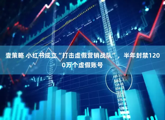 壹策略 小红书成立“打击虚假营销战队”，半年封禁1200万个虚假账号