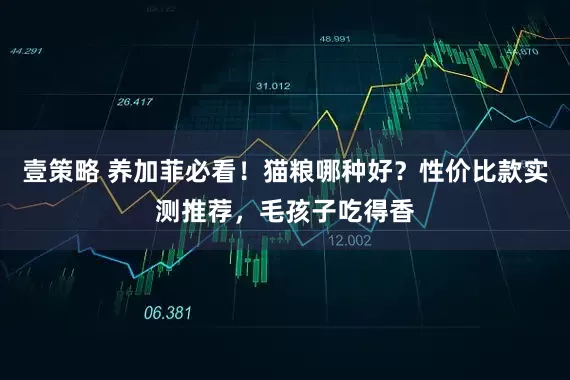 壹策略 养加菲必看！猫粮哪种好？性价比款实测推荐，毛孩子吃得香