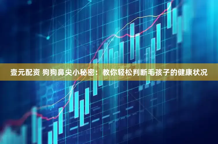 壹元配资 狗狗鼻尖小秘密：教你轻松判断毛孩子的健康状况