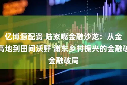 亿博源配资 陆家嘴金融沙龙：从金融高地到田间沃野 浦东乡村振兴的金融破局