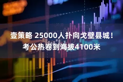 壹策略 25000人扑向戈壁县城！考公热卷到海拔4100米