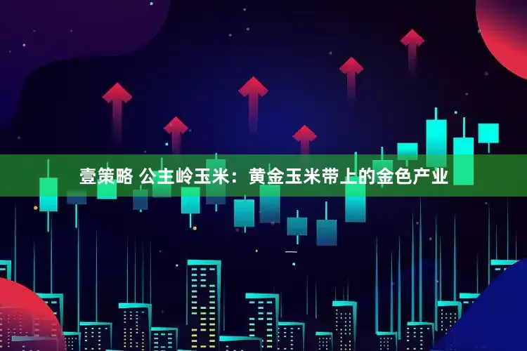 壹策略 公主岭玉米：黄金玉米带上的金色产业