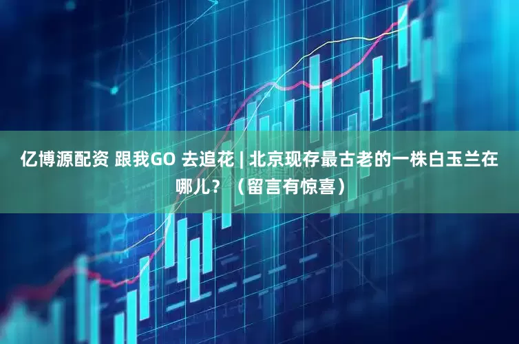 亿博源配资 跟我GO 去追花 | 北京现存最古老的一株白玉兰在哪儿？（留言有惊喜）