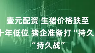 壹元配资 生猪价格跌至二十年低位 猪企准备打“持久战”